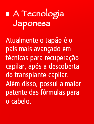 A Tecnologia Japonesa