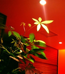 img2_Japão